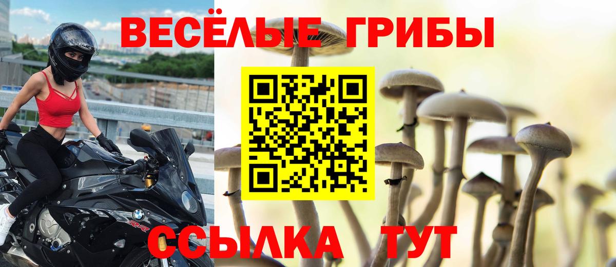 Псилоцибиновые грибы ЛСД Светлоград