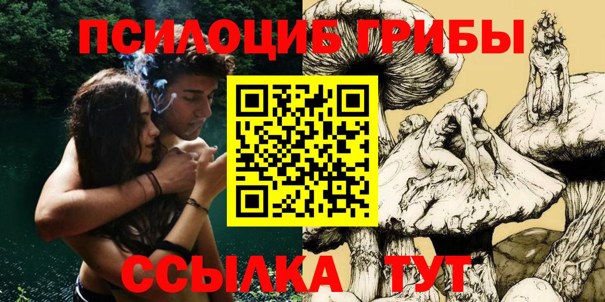 Светлоград  Галлюциногенные грибы Psilocybe  Псилоцибиновые грибы Psilocybe  Вход с VPN 